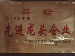 荣誉资质